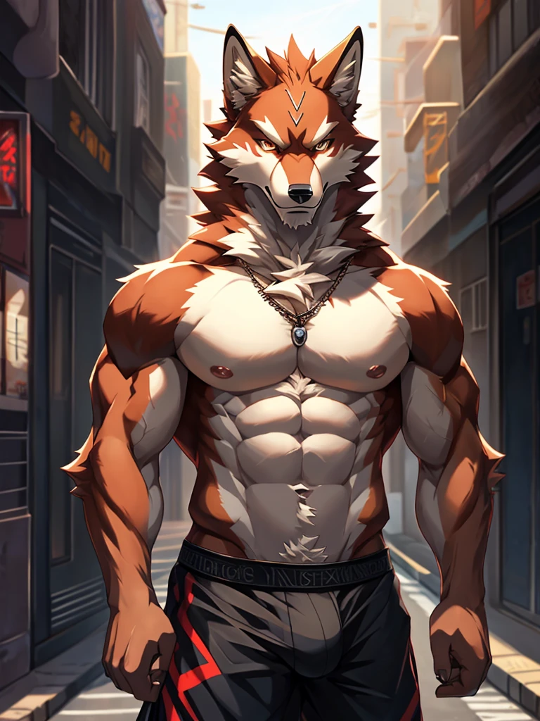 Masterpieceы, fluffy, Male, anthropomorphic, red wolf,veiny, athletic body, tender eyes, shiny body, Street Thug, anime, depth of field, perfect lighting, (Best quality),(Masterpiece),(ultra detailed), sharp focus, detailed background, black boxer, shirtless, fierce look, Soldier's look, whole body, Six pack abs, black nipples, black gloves,Glossy leather