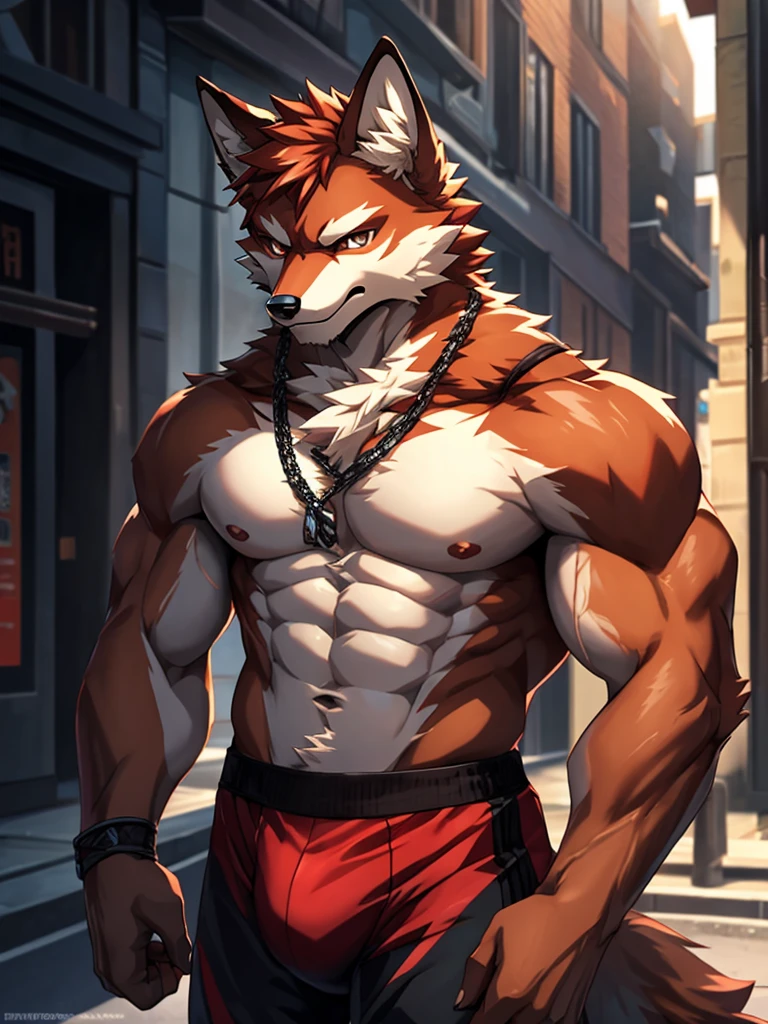 Masterpieceы, fluffy, Male, anthropomorphic,   red wolf,veiny, athletic body, tender eyes, shiny body, Street Thug, anime, depth of field, perfect lighting, (Best quality),(Masterpiece),(ultra detailed), sharp focus, detailed background, black boxer, shirtless, fierce look, Soldier&#39;s look, whole body, Six pack abs, black nipples, black gloves,Glossy leather