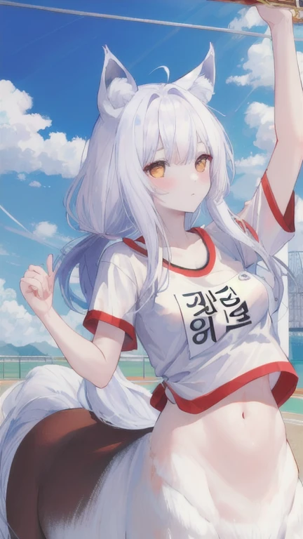 (best quality, masterpiece), 1 girl, centaur, It takes, White skin, Korean ,Athletic Competition,exposing the abdomen,belly button t-shirt, 아름다운 소녀 perfect wolf photo, perfect wolf photo