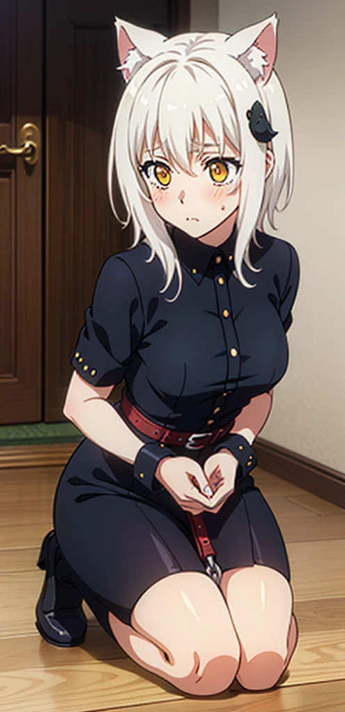 best quality, (masterpiece:1.2), highly detailed, cat ears, 1girl, tojou koneko, yellow eyes, white hair, short hair, hair ornament, 20-year-old, healthy skin, blushed,kneeling ,(ringed eyes ),(( bdsm))
