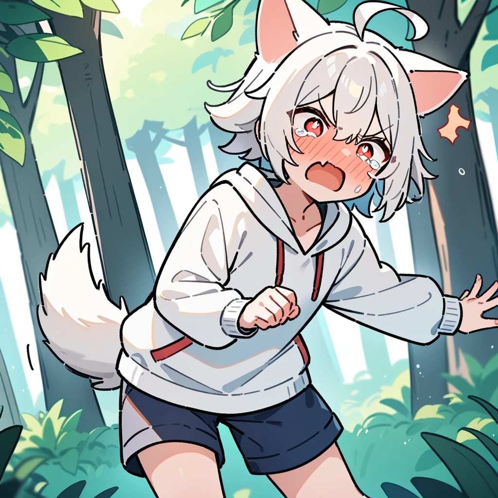 （masterpiece：1.2，high quality），8K，High resolution，A -year-boy，c boy，white hair，short hair，red eyes，heart-shaped pupils， ahoge，cat ears，full-face blush，pain，angry，tears，skin fang，Halation，Wearing a white hoodie，Dark blue shorts，White socks，Stand in the forest，There are flowering trees on both sides.，primary scho，dog tail，（Put your hands in your pockets）