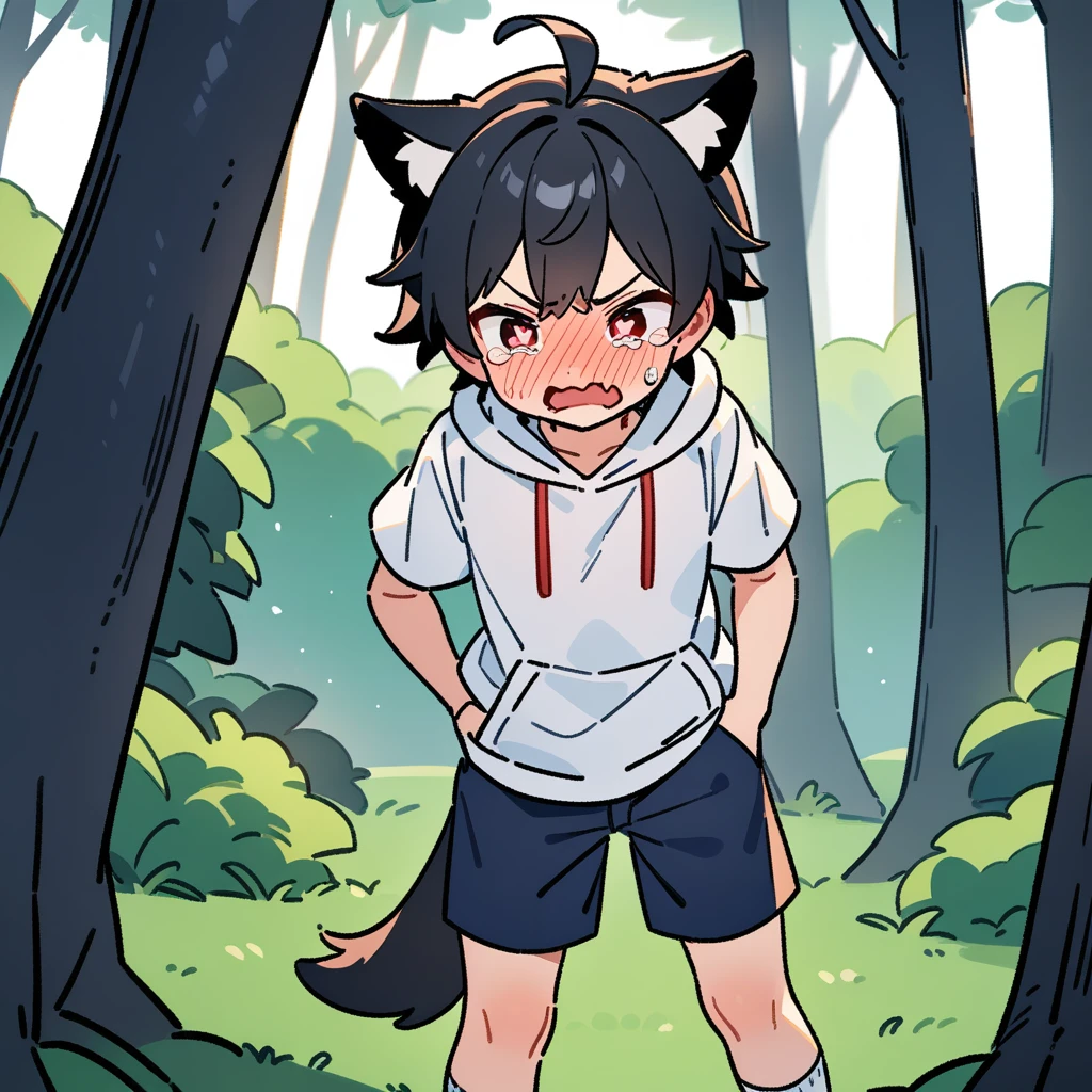 （masterpiece：1.2，high quality），8K，High resolution，A -year-boy，c boy，black hair，short hair，red eyes，heart-shaped pupils， ahoge，cat ears，full-face blush，pain，angry，tears，skin fang，Halation，Wearing a white hoodie，Dark blue shorts，White socks，Stand in the forest，There are flowering trees on both sides.，primary scho，dog tail，（Put your hands in your pockets）