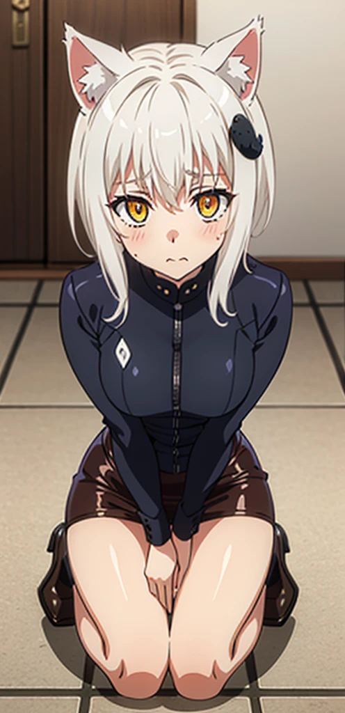 best quality, (masterpiece:1.2), highly detailed, cat ears, 1girl, tojou koneko, yellow eyes, white hair, short hair, hair ornament, 20-year-old, healthy skin, blushed,kneeling ,(ringed eyes ),((leather clothes))
