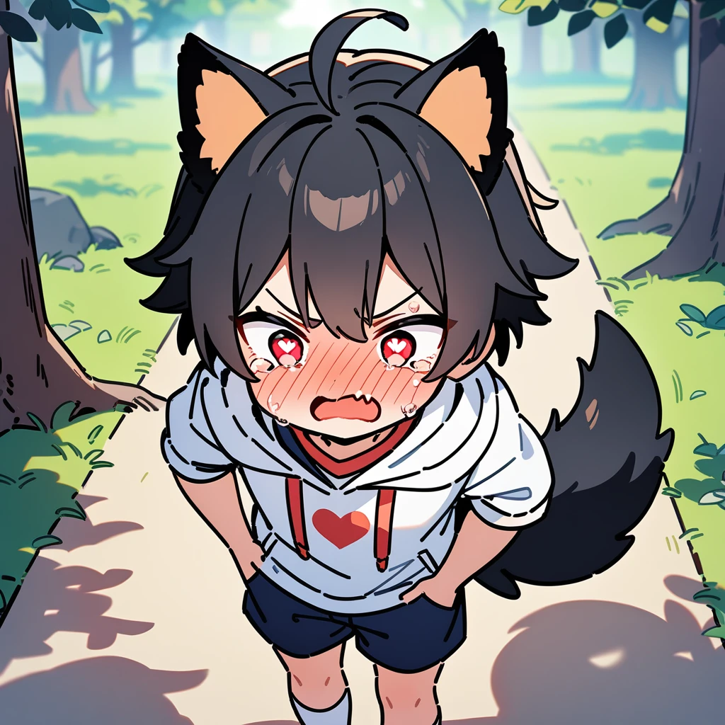 (masterpiece:1.2,high quality),8K,High resolution,A seven-year-old boy,cute boy,black hair,short hair,red eyes,heart-shaped pupils, ahoge,cat ears,full-face blush,pain,angry,tears,skin fang,Halation,Wearing a white hoodie,Dark blue shorts,White socks,Stand in the forest,There are flowering trees on both sides.,primary school student,thigh,alone,dog tail,(Put your hands in your pockets)