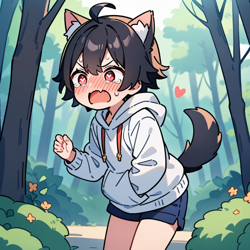 (masterpiece:1.2,high quality),8K,High resolution,A seven-year-old boy,cute boy,black hair,short hair,red eyes,heart-shaped pupils, ahoge,cat ears,full-face blush,pain,angry,tears,skin fang,Halation,Wearing a white hoodie,Dark blue shorts,White socks,Stand in the forest,There are flowering trees on both sides.,primary school student,thigh,alone,dog tail,(Put your hands in your pockets),(Put your hands in your pockets)