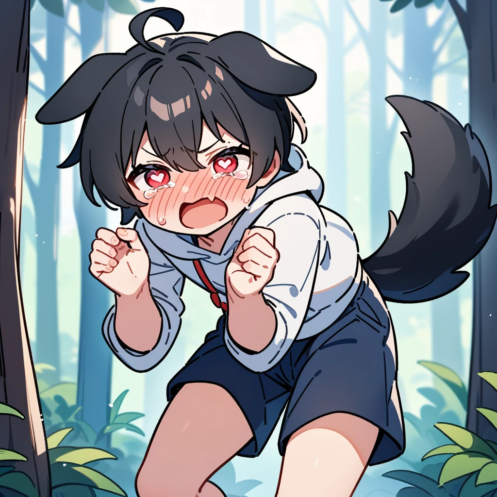 （masterpiece：1.2，high quality），8K，High resolution，A -year-boy，c boy，black hair，short hair，red eyes，heart-shaped pupils， ahoge，cat ears，full-face blush，pain，angry，tears，skin fang，Halation，Wearing a white hoodie，Dark blue shorts，Stand in the forest，There are flowering trees on both sides.，primary scho，dog tail，（Put your hands in your pockets）