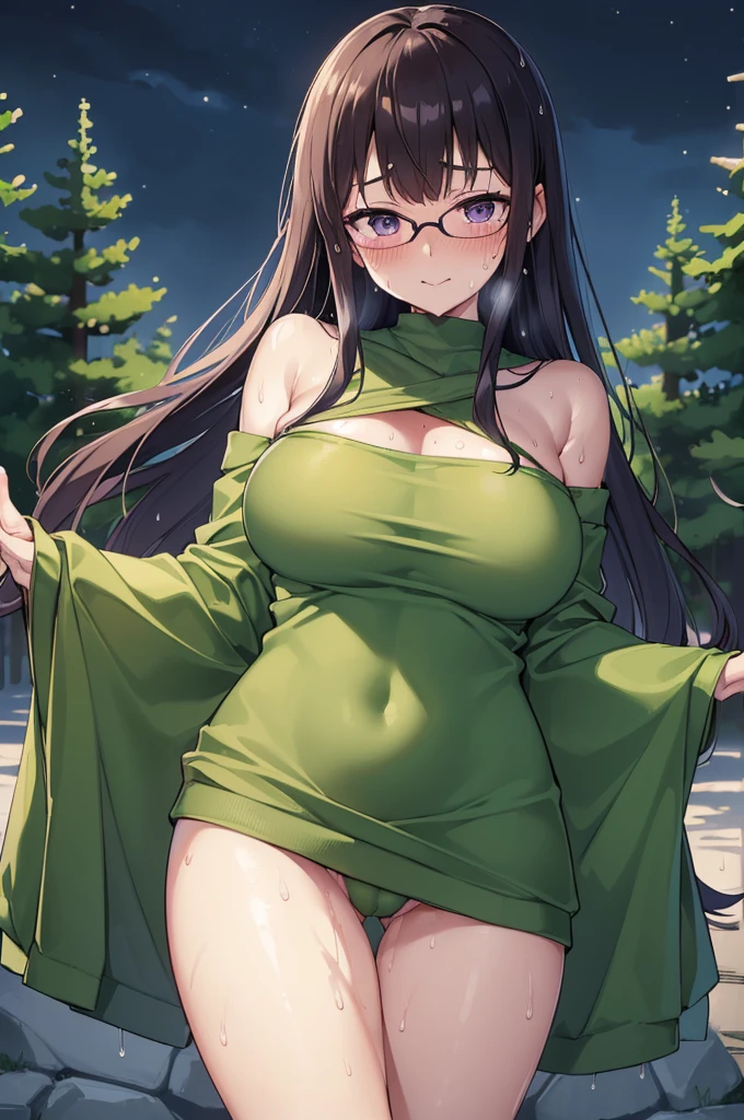 (((4K,8K,Highest quality,Perfect Fingers:1.3,Perfect Anatomy:1.3))),.woman,((Four fingers and thumb:1.3)),((Perfect human hand:1.3)),((The right number of limbs:1.3)),(alone),futabasakura, futaba sakura, ((Black Hair)), Glasses, Long Hair,(Blunt bangs:1.1),(Purple eyes:1.1), black Knee socks, Fur trim, fur-trimmed Jacket, green Jacket, Jacket, Off the shoulder, off-shoulder shirt, shirt, t-shirt, Knee socks,((Large sagging breasts)),(((Sweat:1.3))),(blush),super oily,View your viewers,((forest:1.3)),((night:1.3)), Contrasting,Smiling Kindly, Spread your arms, Cowboy Shot, No sleeve,長い乳首の上にNo sleeve,(figure:0.8), (Beautiful attention to detail:1.3), Highly detailed face, Highly detailed CG, young,Thigh gap,(I want to pee),(Wet crotch),(I don't wear white panties),Detailed description of the vagina,((Detailed Background:1.1)),