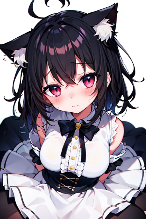 Embarrassed face,blush,One girl,前hair,Tilt your head,From above,whole body,black_hair,Cat ear（white）,Cat&#39;s Tail（white）,Frilled Chalk,Long skirt_dress,（Small Tits）,pink_eye,My Room,Heart Background
