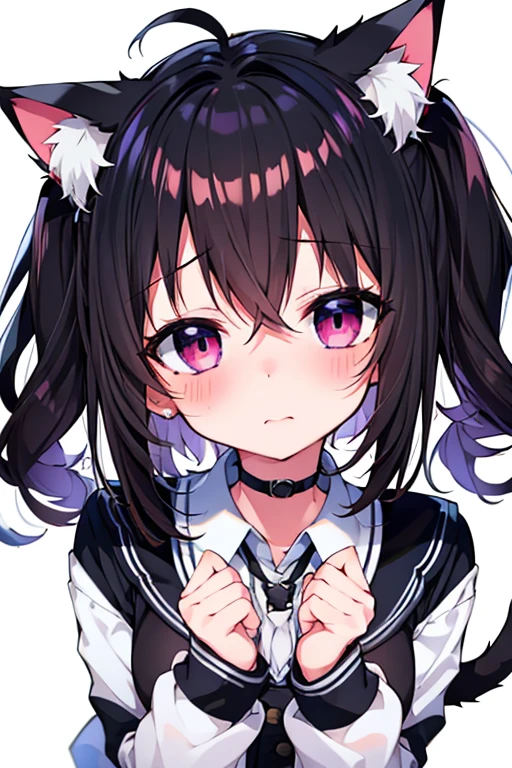 Embarrassed face,blush,One girl,前hair,Tilt your head,From above,whole body,black_hair,Cat ear（white）,Cat&#39;s Tail（white）,Frilled Chalk,Long skirt_dress,（Small Tits）,pink_eye,My Room,Heart Background ,donut