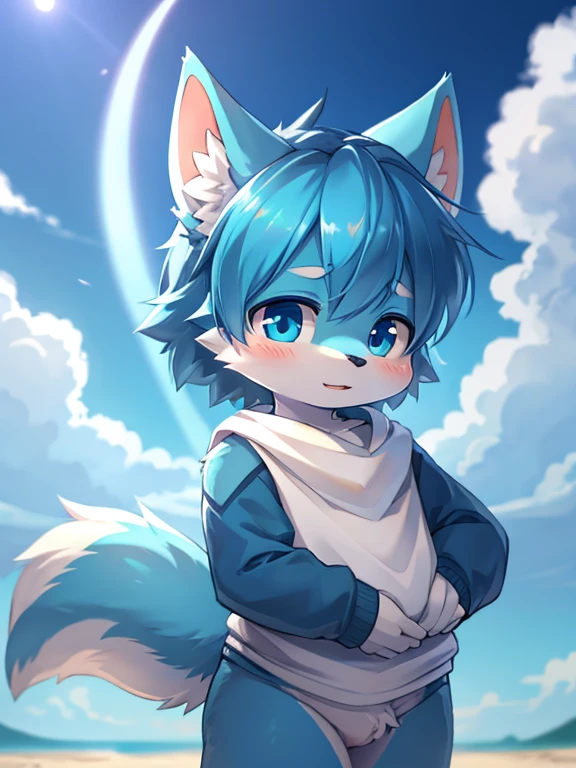 Blue cute male blue ear wolf cub slightly round ears normal