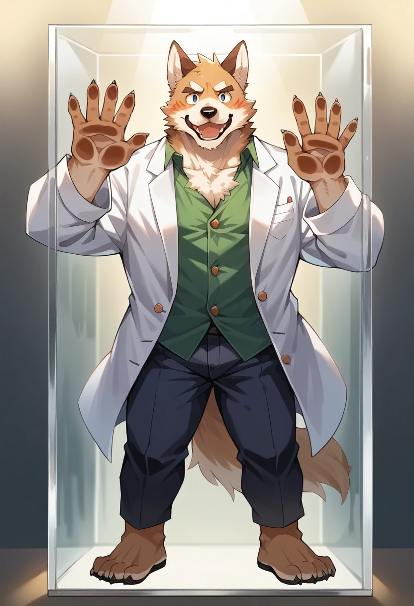 top quality, best quality, masterpiece, super high resolution, detailed background, good lighting((colorful water in test tube))laboratory(highly detailed beautiful face and eyes)absurdres, perfect anatomy(handsome 1boy, kemono, solo focus, white coat)(furry)(furry anthro:1.7)(Furry body, dog facial features, dog body features)(very detailed body fur)full body, full body, looking at view, hands on the glass,