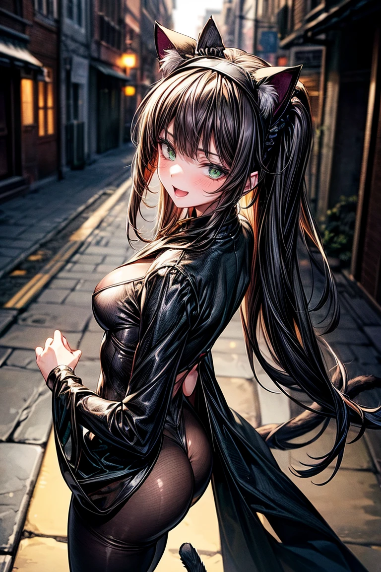 NSFW、One Girl、(20-year-old woman)、Cat ears headband、Shiny tail、Black enamel high leg suit、Ultra-thin suit、Skin is transparent、squat、Cat Pose、Black cat、City、Back alley at night、Green Eyes、Beautiful eyes、Laugh with fangs out、Faces aiming for prey、Looking from above