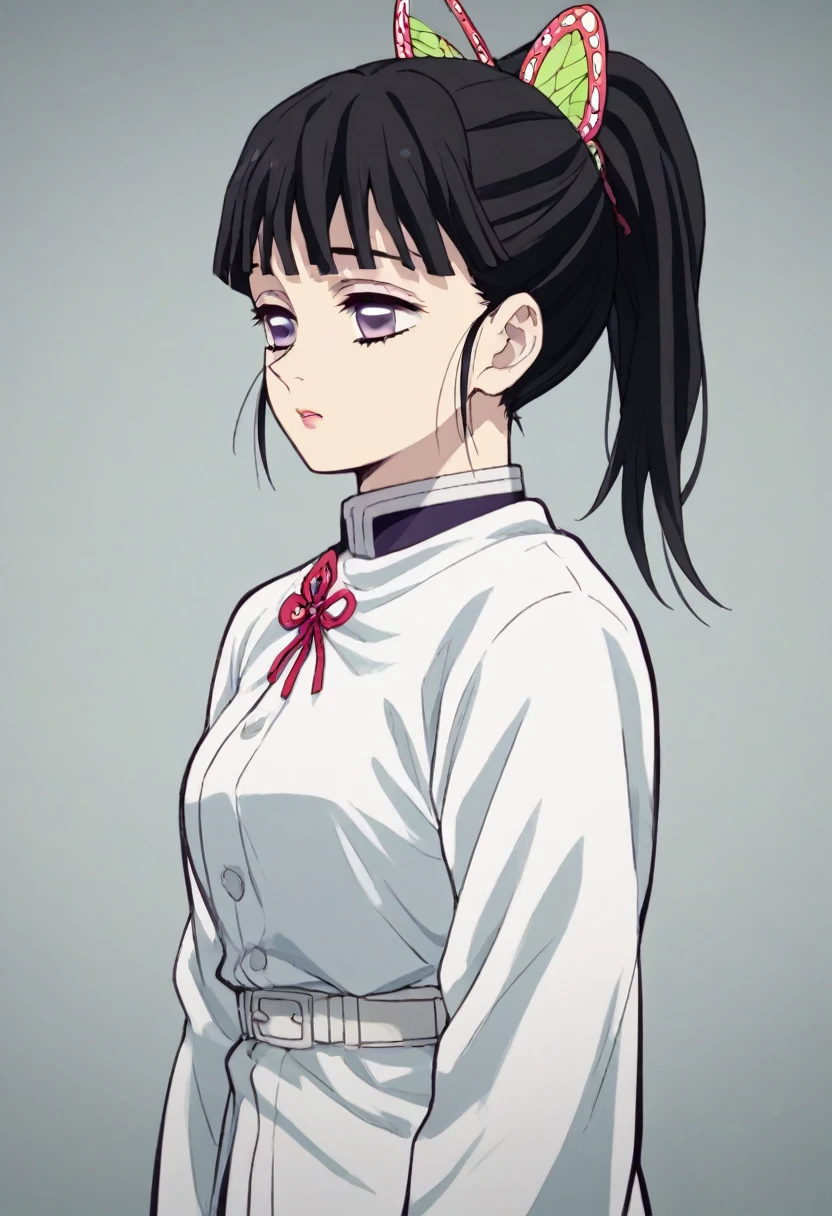 kanao tsuyuri (demon slayer), purple eyes, black hair, butterfly hair ornament, ponytail, demon slayer corps uniform,