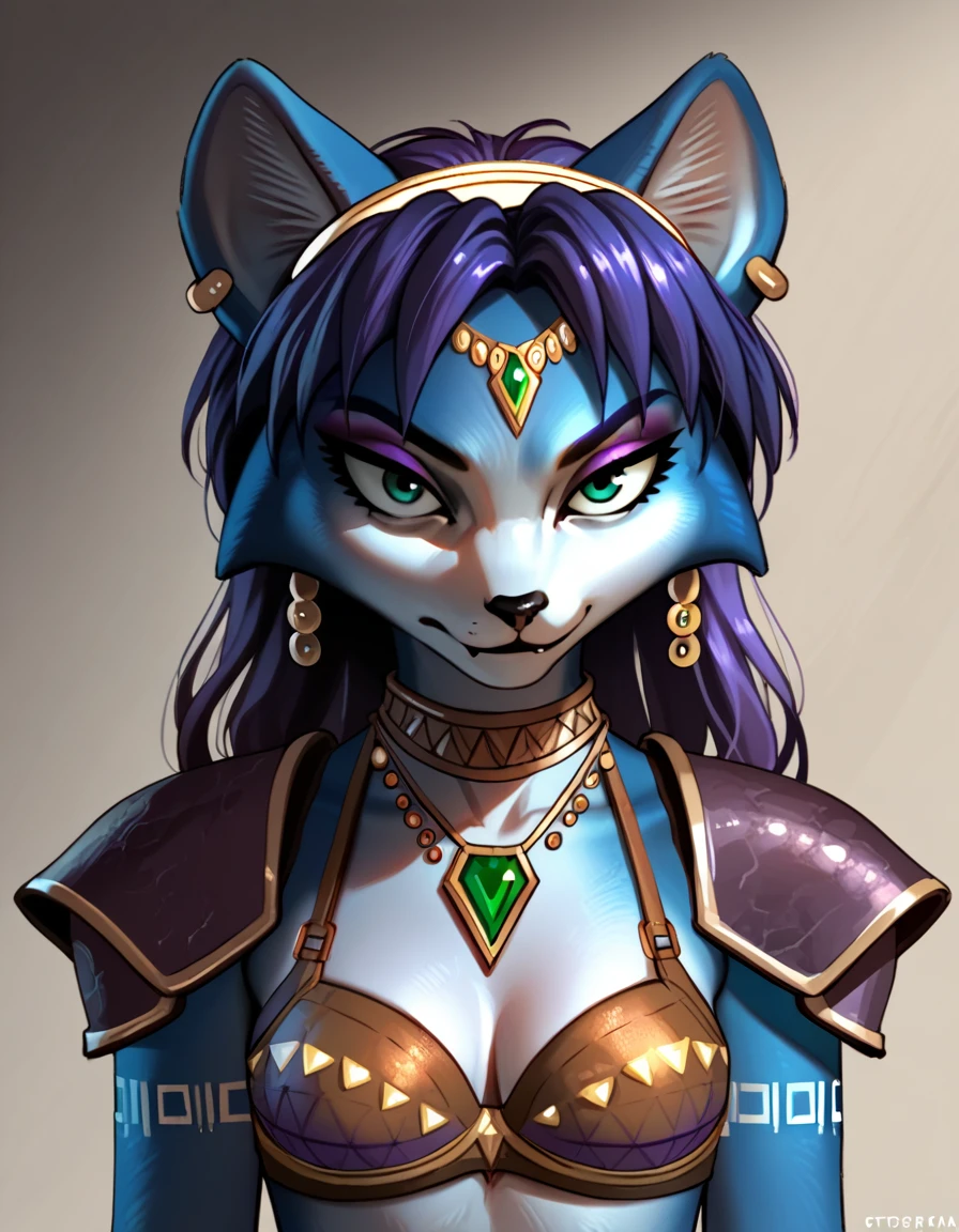 score_9, score_8_up, score_7_up, score_6_up, score_5_up, score_4_up, Krystal swift, violet hair, hair, long hair, purple eyeliner, brown leather bra armor, silver circlet, green gemstone, ear piercing, gritty, dark, rating_questionable
