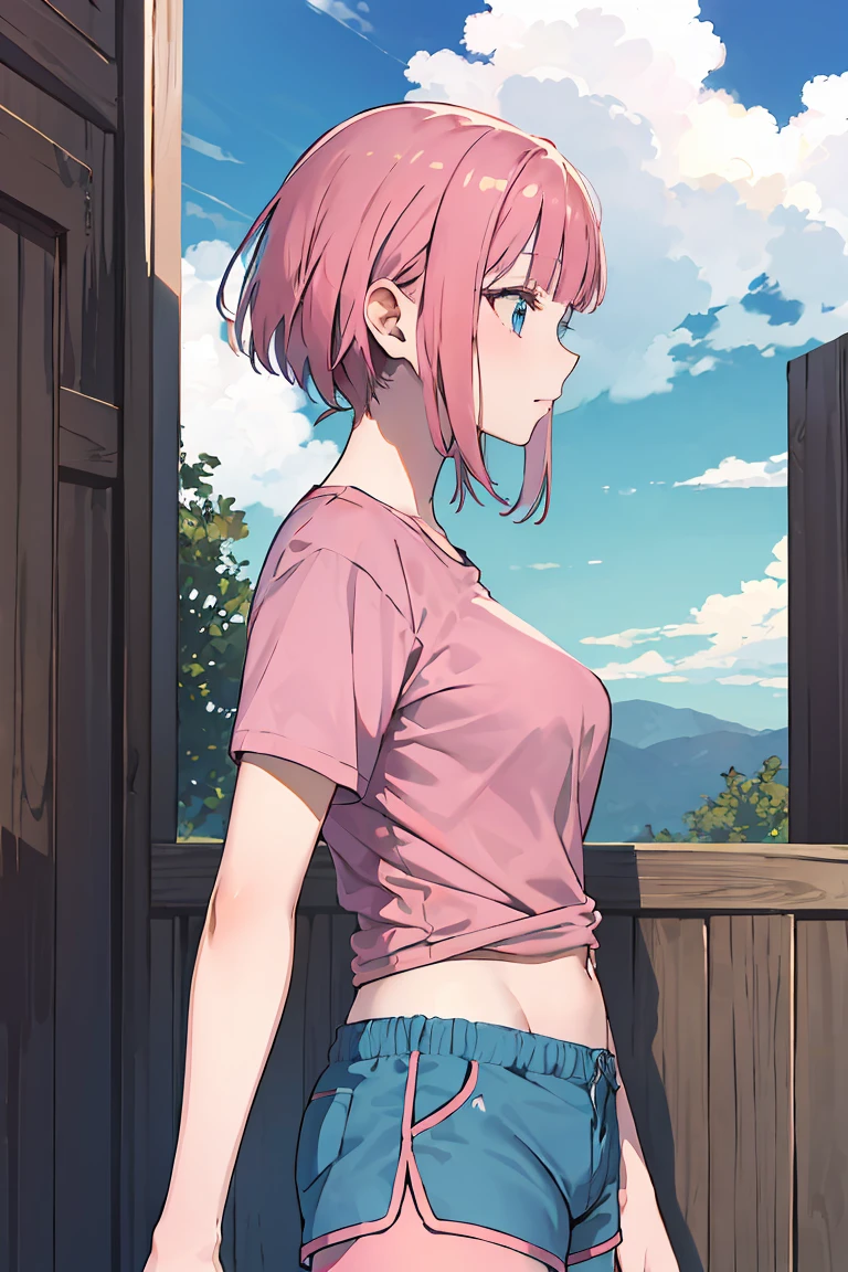Nino Nakano, pink hair,
BREAK ((pink tshirt), (blue shorts):1.2),
BREAK from side, looking up, sky, clouds, profile,
BREAK ((top quality, 8k, masterpiece: 1.3, ultra hd, high quality, best quality, high definition, realism)), sharp focus: 1.5, Beautiful woman with Slim body, (perfect hands, perfect anatomy),
