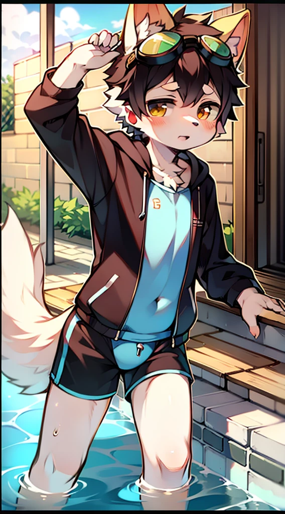 ((Furry, kemono)), 2D boy Shota, swimming suit，standing，goggles，border collie ear, dog tail