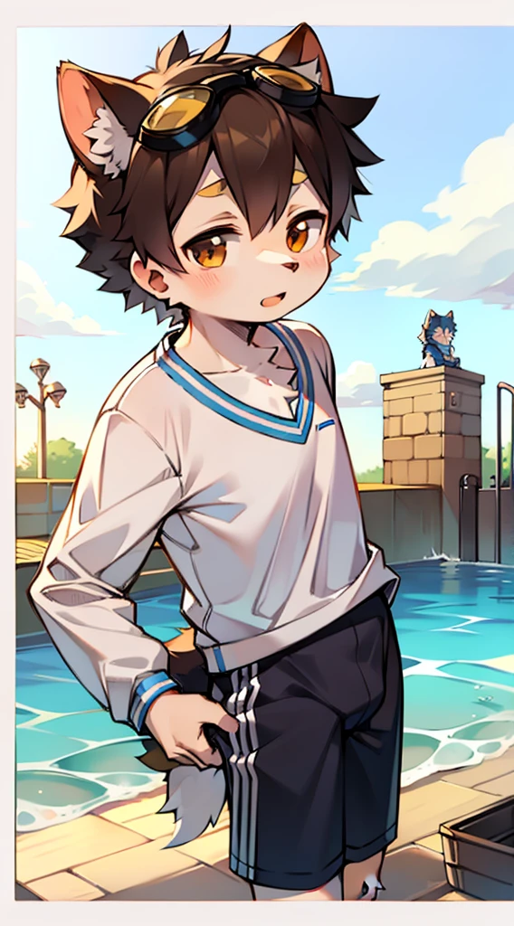 ((Furry, kemono)), 2D boy Shota, swimming suit,standing,goggles,border collie ear, dog tail