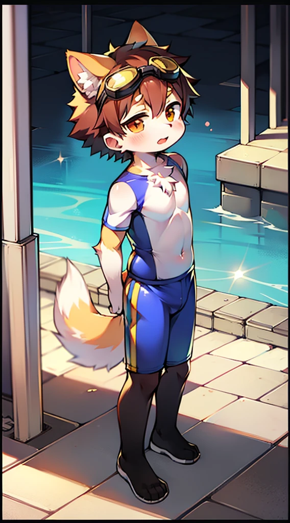 ((Furry, kemono)), 2D boy Shota, swimming suit，standing，goggles，border collie ear, dog tail
