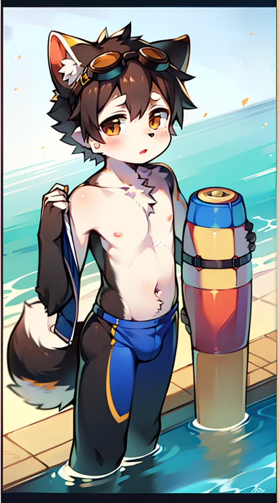 ((Furry, kemono)), 2D boy Shota, swimming suit，standing，goggles，border collie ear, dog tail,topless