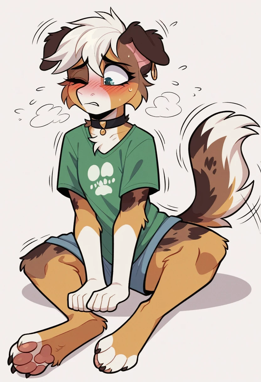 White background, Medium breast, Frey, ((Australian Shepherd)), (Single), ((thin)), Dark green fur, White hair, pony tail, ((Teen)), ((feminine)),At home in the bedroom , short, ( earring, Choker necklace, short tail, embarrassed, tense, He smiles, Movement lines vibrate), (Wince), ( Clothes on the floor), (( Without green cotton clothes)), together ,Have sex , Nakedness ,ذكر يمرس الجنس togetherنثى