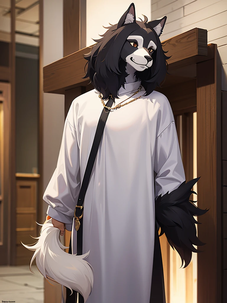 Tall furry dog male
