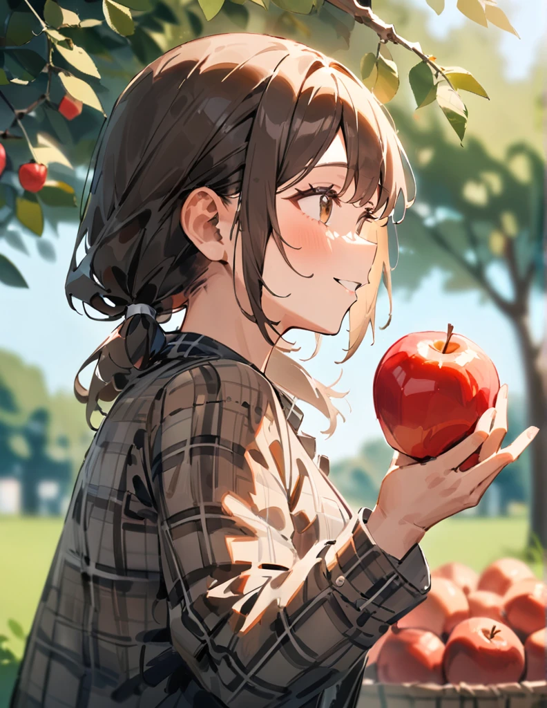 masterpiece, best quality, very aesthetic, absurdres, newest, 1girl, solo, low ponytail, brown eyes, brown hair, straw hat, tartan plaid shirt, long sleeves, little smiling, holding, upper body, outdoors, parted lips, food, day, blurry, from side, tree, fruit, depth of field, blurry background, leaf, sunlight, holding food, looking up, apple, branch, holding fruit