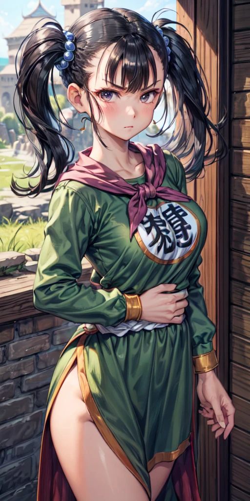 masterpiece, best quality, 4k, 8k, fighter (dq3), 1girl, solo, long hair, twintails, looking at viewer, black hair, hair ornament, long sleeves, dress, medium breasts, closed mouth, cowboy shot, black eyes, arm up, chinese clothes, hair bobbles, clenched hand, fighting stance, Ancient Castle, indoor