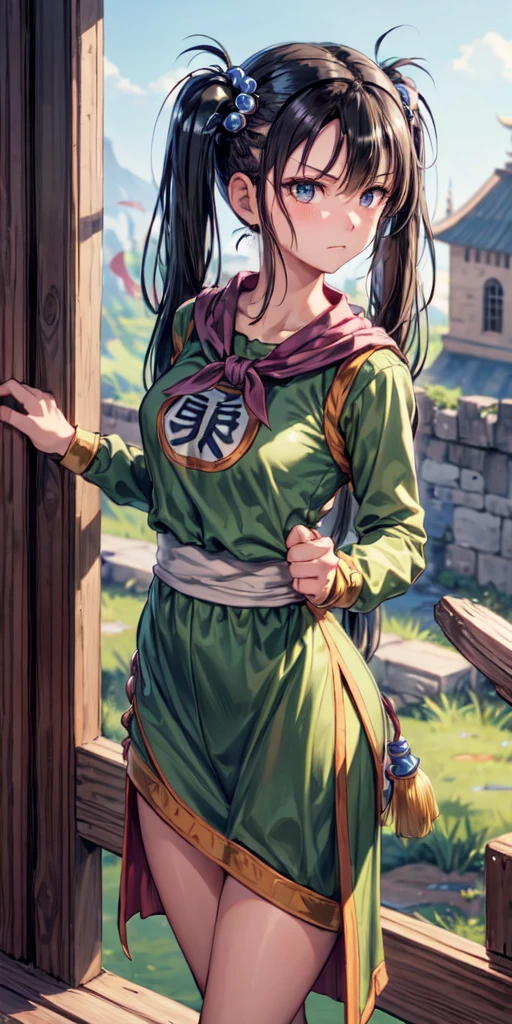 masterpiece, best quality, 4k, 8k, fighter (dq3), 1girl, solo, long hair, twintails, looking at viewer, black hair, hair ornament, long sleeves, dress, medium breasts, closed mouth, cowboy shot, black eyes, chinese clothes, hair bobbles, clenched hand, Punching, Feet Apart, Ancient Castle