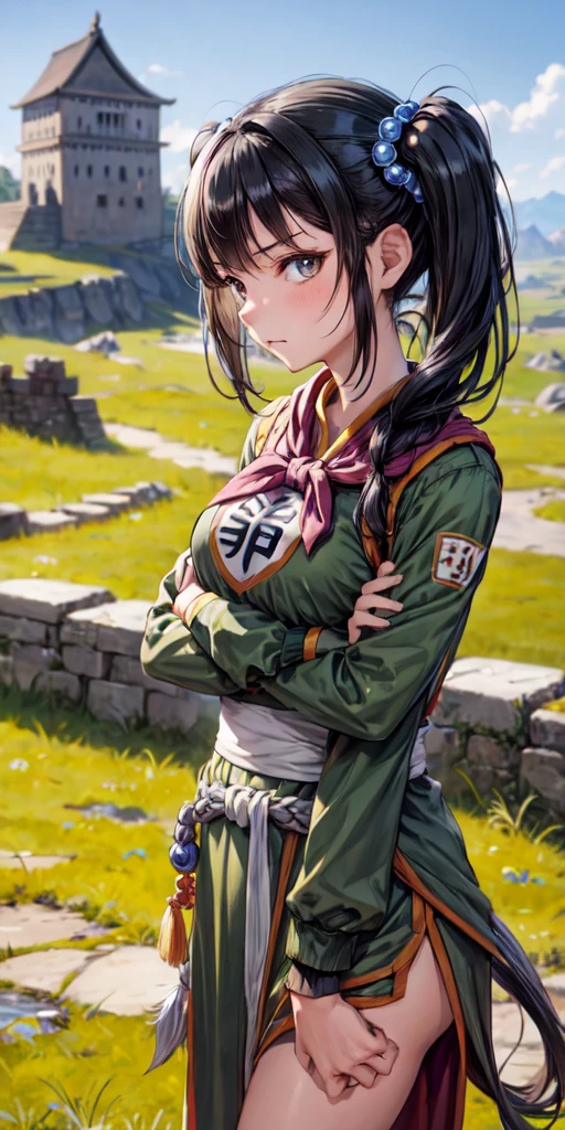 masterpiece, best quality, 4k, 8k, fighter (dq3), 1girl, solo, long hair, twintails, looking at viewer, black hair, hair ornament, long sleeves, dress, medium breasts, closed mouth, cowboy shot, black eyes, arm up, chinese clothes, hair bobbles, clenched hand, Standing Upright, Crossed Arms, Ancient Castle, 