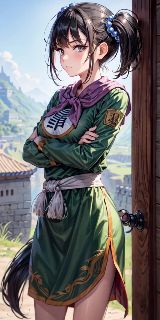 masterpiece, best quality, 4k, 8k, fighter (dq3), 1girl, solo, long hair, twintails, looking at viewer, black hair, hair ornament, long sleeves, dress, medium breasts, closed mouth, cowboy shot, black eyes, arm up, chinese clothes, hair bobbles, clenched hand, Standing Upright, Crossed Arms, Ancient Castle, 