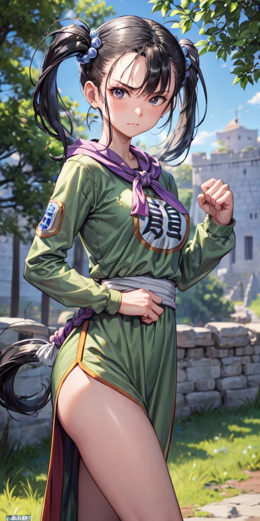 masterpiece, best quality, 4k, 8k, fighter (dq3), 1girl, solo, long hair, twintails, looking at viewer, black hair, hair ornament, long sleeves, dress, medium breasts, closed mouth, cowboy shot, black eyes, chinese clothes, hair bobbles, clenched hand, Punching, Boxing Jab, Feet Apart, Ancient Castle