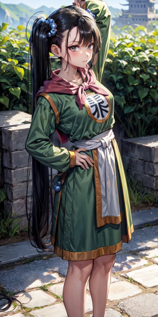masterpiece, best quality, 4k, 8k, fighter (dq3), 1girl, solo, long hair, twintails, looking at viewer, black hair, hair ornament, long sleeves, dress, medium breasts, closed mouth, cowboy shot, black eyes, arm up, chinese clothes, hair bobbles, clenched hand, Standing Upright, Crossed Arms, Ancient Castle,