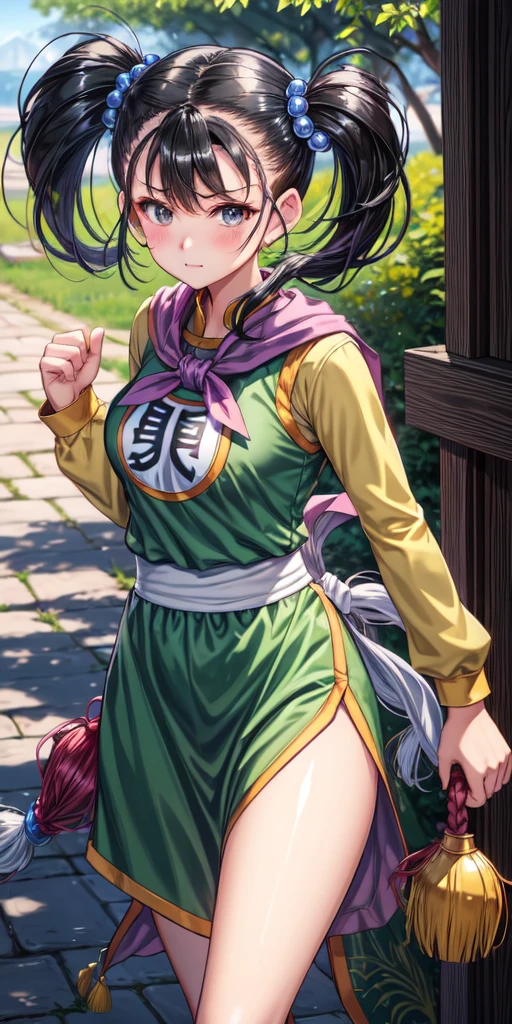 masterpiece, best quality, 4k, 8k, fighter (dq3), 1girl, solo, long hair, twintails, looking at viewer, black hair, hair ornament, long sleeves, dress, medium breasts, closed mouth, cowboy shot, black eyes, chinese clothes, hair bobbles, clenched hand, Punching, Boxing Jab, Feet Apart, Ancient Castle