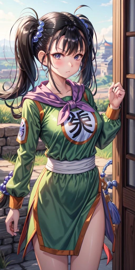 masterpiece, best quality, 4k, 8k, fighter (dq3), 1girl, solo, long hair, twintails, looking at viewer, black hair, hair ornament, long sleeves, dress, medium breasts, closed mouth, cowboy shot, black eyes, chinese clothes, hair bobbles, clenched hand, Punching, Boxing Jab, Feet Apart, Ancient Castle