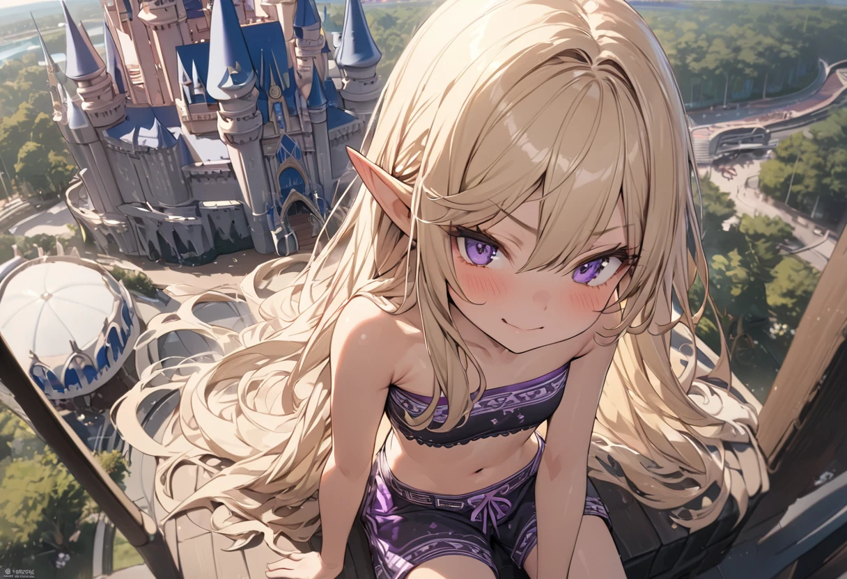 ((Masterpiece)), ((best quality)), (ultra-detailed), ((kawaii)), ((extremely detailed)), 4K, (8K), (super detail:1.2),(High Definition:1.3), (Professional Photography:1.2), from above, (wide shot), cinematic lighting, (sharp focus), (perfect light), ((1girl)), ((12 years old)), cute young girl, (very smug), (Beautiful purple eyes:1.2), (dark skin), elf girl, (small chest), (Embroidered Tribal black tubutop)), strapless, (bare arms), cute navel, (Tribal boxer shorts), (Healthy slim body), (long bangs), silky and straight hair, long hair, ((beautiful blond hair)), BREAK, ((best quality)), ((extremely detailed)), (loose sitting on the rooftop), (the Disney Resort), Cinderella Castle spreading out below,