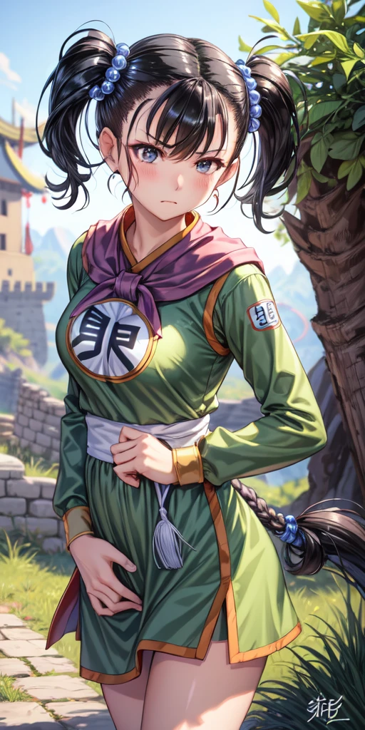 masterpiece, best quality, 4k, 8k, fighter (dq3), 1girl, solo, long hair, twintails, looking at viewer, black hair, hair ornament, long sleeves, dress, medium breasts, closed mouth, cowboy shot, black eyes, chinese clothes, hair bobbles, clenched hand, Punching, Boxing Jab, Feet Apart, Ancient Castle