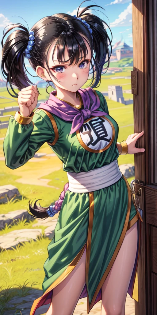 masterpiece, best quality, 4k, 8k, fighter (dq3), 1girl, solo, long hair, twintails, looking at viewer, black hair, hair ornament, long sleeves, dress, medium breasts, closed mouth, cowboy shot, black eyes, chinese clothes, hair bobbles, clenched hand, Punching, Boxing Jab, Feet Apart, Ancient Castle