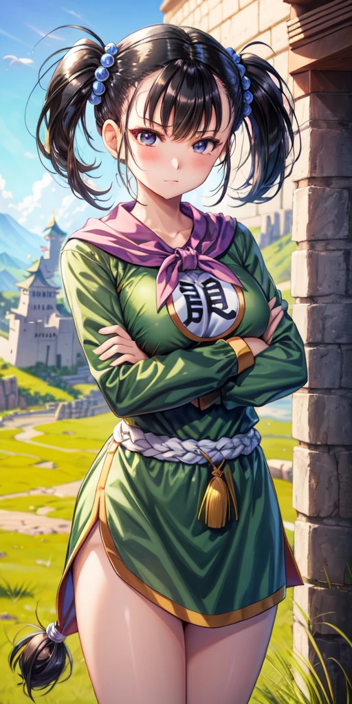 masterpiece, best quality, 4k, 8k, fighter (dq3), 1girl, solo, long hair, twintails, looking at viewer, black hair, hair ornament, long sleeves, dress, medium breasts, closed mouth, cowboy shot, black eyes, chinese clothes, hair bobbles, clenched hand, crossed arms, Feet Apart, Ancient Castle