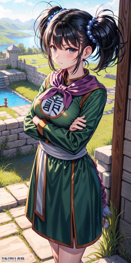 masterpiece, best quality, 4k, 8k, fighter (dq3), 1girl, solo, long hair, twintails, looking at viewer, black hair, hair ornament, long sleeves, dress, medium breasts, closed mouth, cowboy shot, black eyes, chinese clothes, hair bobbles, clenched hand, crossed arms, Feet Apart, Ancient Castle