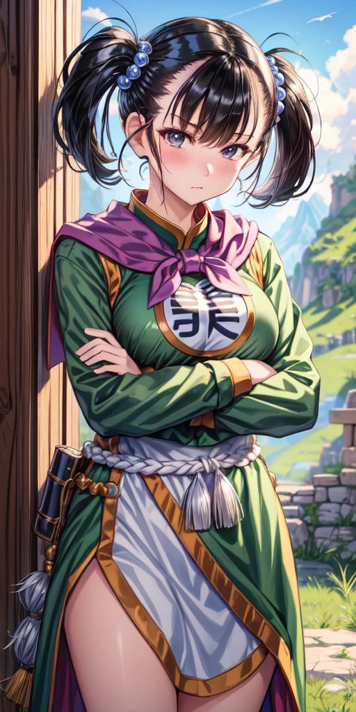 masterpiece, best quality, 4k, 8k, fighter (dq3), 1girl, solo, long hair, twintails, looking at viewer, black hair, hair ornament, long sleeves, dress, medium breasts, closed mouth, cowboy shot, black eyes, chinese clothes, hair bobbles, clenched hand, crossed arms, Feet Apart, Ancient Castle