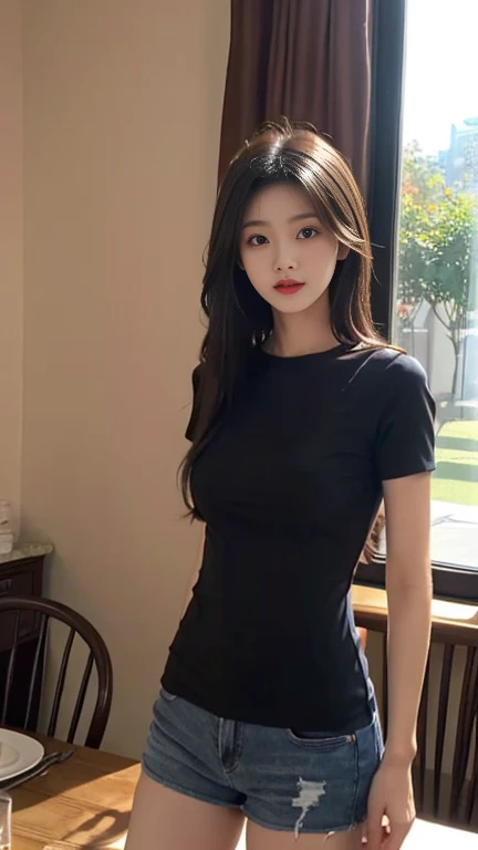 1 Girl,Dining room,Soft Light,Chinese Beauty,Tight Fit,Short-sleeved shirt,Dark-haired,long hair