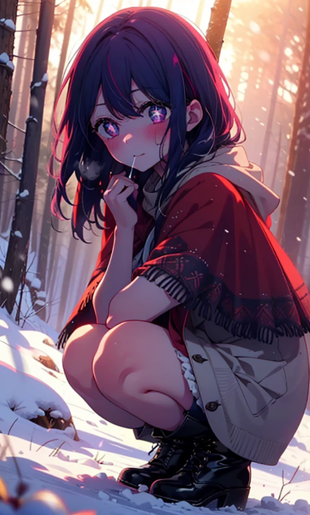 aihoshino, Ai Hoshino, Long Hair, bangs, (Purple eyes:1.1), Purple Hair, (Symbol-shaped pupil:1.5), smile,,smile,blush,White Breath,
Open your mouth,snow,Ground bonfire, Outdoor, boots, snowing, From the side, wood, suitcase, Cape, Blurred, , forest, White handbag, nature, Squat, Mouth closed, Cape, winter, Written boundary depth, Black shoes, red Cape break looking at viewer, Upper Body, whole body, break Outdoor, forest, nature, break (masterpiece:1.2), Highest quality, High resolution, unity 8k wallpaper, (shape:0.8), (Beautiful and beautiful eyes:1.6), Highly detailed face, Perfect lighting, Extremely detailed CG, (Perfect hands, Perfect Anatomy),