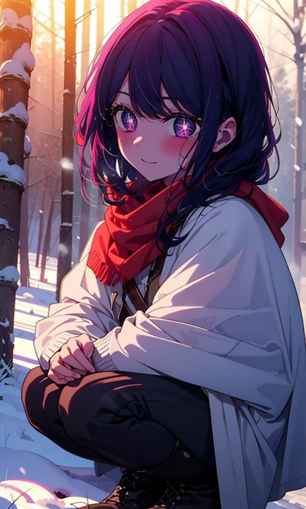 aihoshino, Ai Hoshino, Long Hair, bangs, (Purple eyes:1.1), Purple Hair, (Symbol-shaped pupil:1.5), smile,,smile,blush,White Breath,
Open your mouth,snow,Ground bonfire, Outdoor, boots, snowing, From the side, wood, suitcase, Cape, Blurred, , forest, White handbag, nature, Squat, Mouth closed, Cape, winter, Written boundary depth, Black shoes, red Cape break looking at viewer, Upper Body, whole body, break Outdoor, forest, nature, break (masterpiece:1.2), Highest quality, High resolution, unity 8k wallpaper, (shape:0.8), (Beautiful and beautiful eyes:1.6), Highly detailed face, Perfect lighting, Extremely detailed CG, (Perfect hands, Perfect Anatomy),