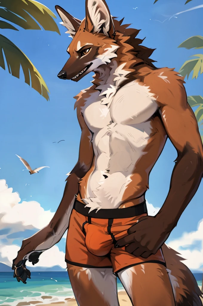 close up, furry, anthro, giant maned wolf, maned wolf ears, maned wolf tail, orange, white and brown fur, messy fur, neck floof, brown fluffy hair, brown eyes, razor sharp teeth, slim body, handsome, slender, long arms and legs, tall, wearing tight red boxer briefs with white lining and giant bulge, pawpads, black pawpads, best quality, 4K, UHD, masterpiece, beach, sunny day, alone,