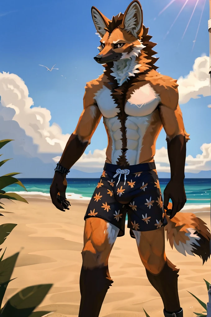 close up, furry, anthro, giant maned wolf, maned wolf ears, maned wolf tail, orange, white and brown fur, messy fur, neck floof, brown fluffy hair, brown eyes, razor sharp teeth, slim body, handsome, slender, long arms and legs, tall, wearing floral swimming shorts with a giant bulge, black anklets, pawpads, black pawpads, best quality, 4K, UHD, masterpiece, walking along beach, sunny day, alone,