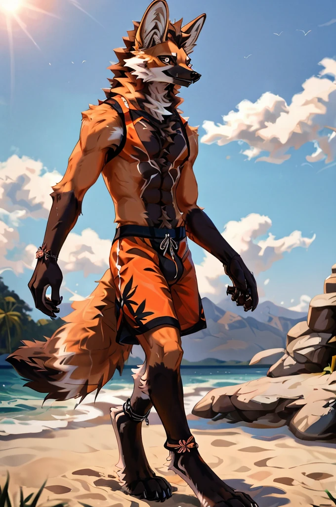 close up, furry, anthro, giant maned wolf, maned wolf ears, maned wolf tail, orange, white and brown fur, messy fur, neck floof, brown fluffy hair, brown eyes, razor sharp teeth, slim body, handsome, slender, long arms and legs, tall, wearing floral swimming shorts with a giant bulge, black anklets, pawpads, black pawpads, best quality, 4K, UHD, masterpiece, walking along beach, sunny day, alone, 