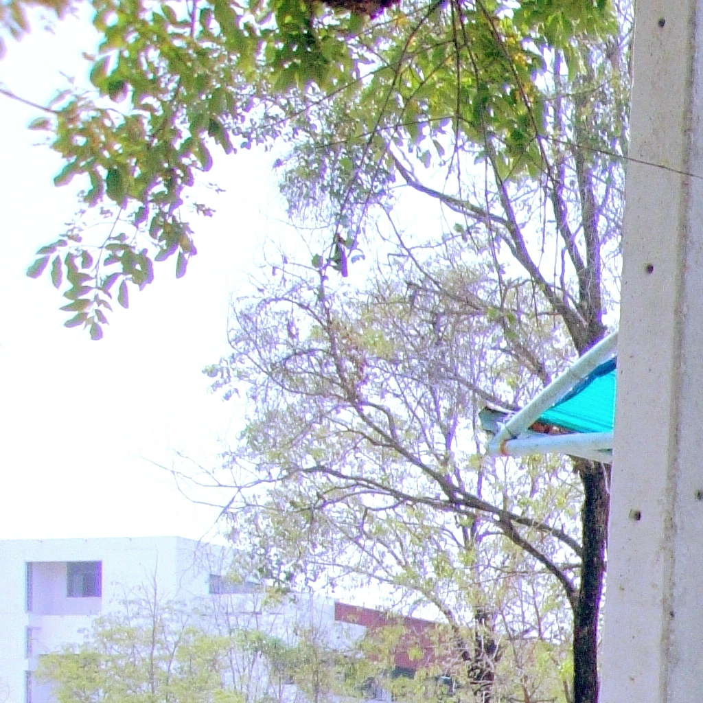 Phon Vocational College