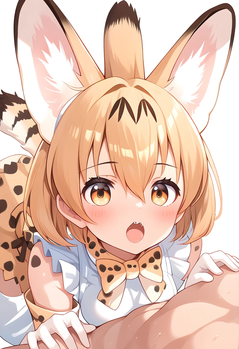 Score_9, Score_8_up, Score_7_up, Score_6_up, Score_5_up, Score_4_up, source_anime, 1girl, nsfw, servalkemono, serval ears, serval tail, maid, sex, doggystyle, deep penetration