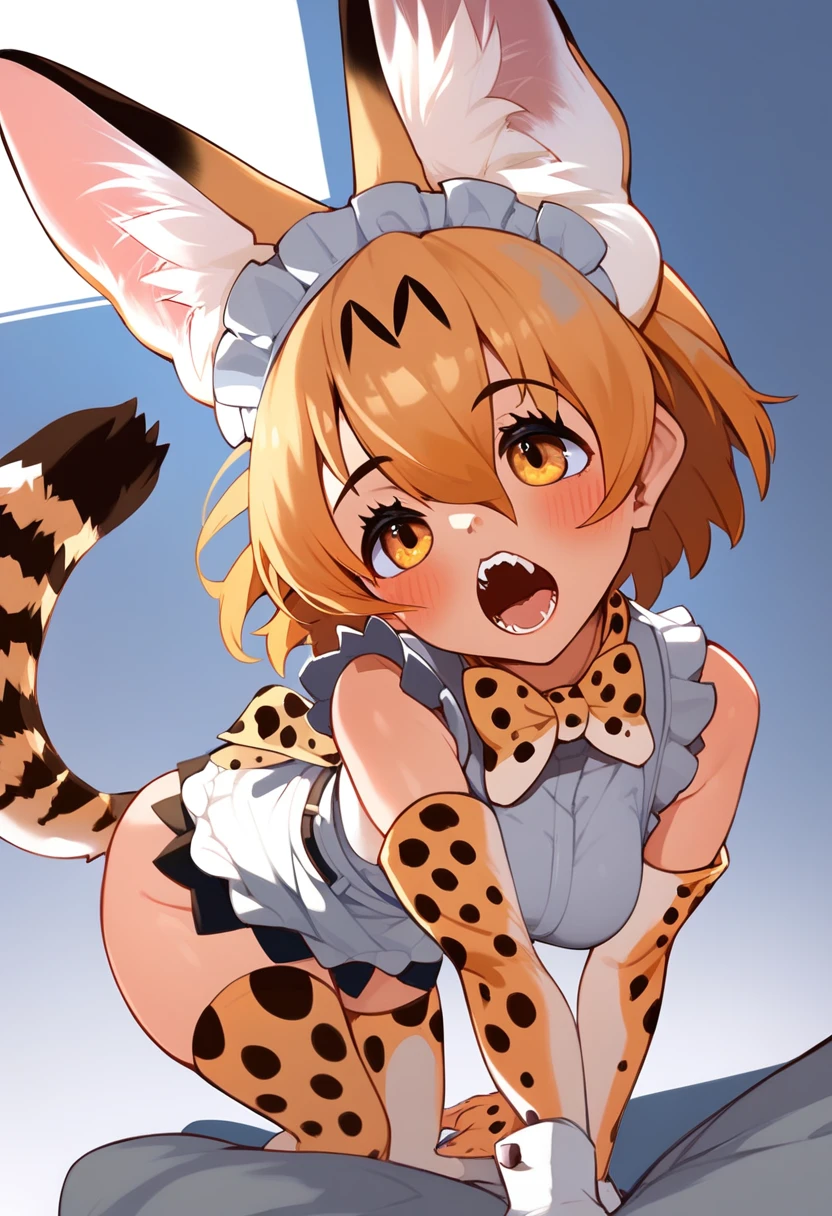 Score_9, Score_8_up, Score_7_up, Score_6_up, Score_5_up, Score_4_up, source_anime, 1girl, nsfw, servalkemono, serval ears, serval tail, maid, anal sex, doggystyle, deep penetration