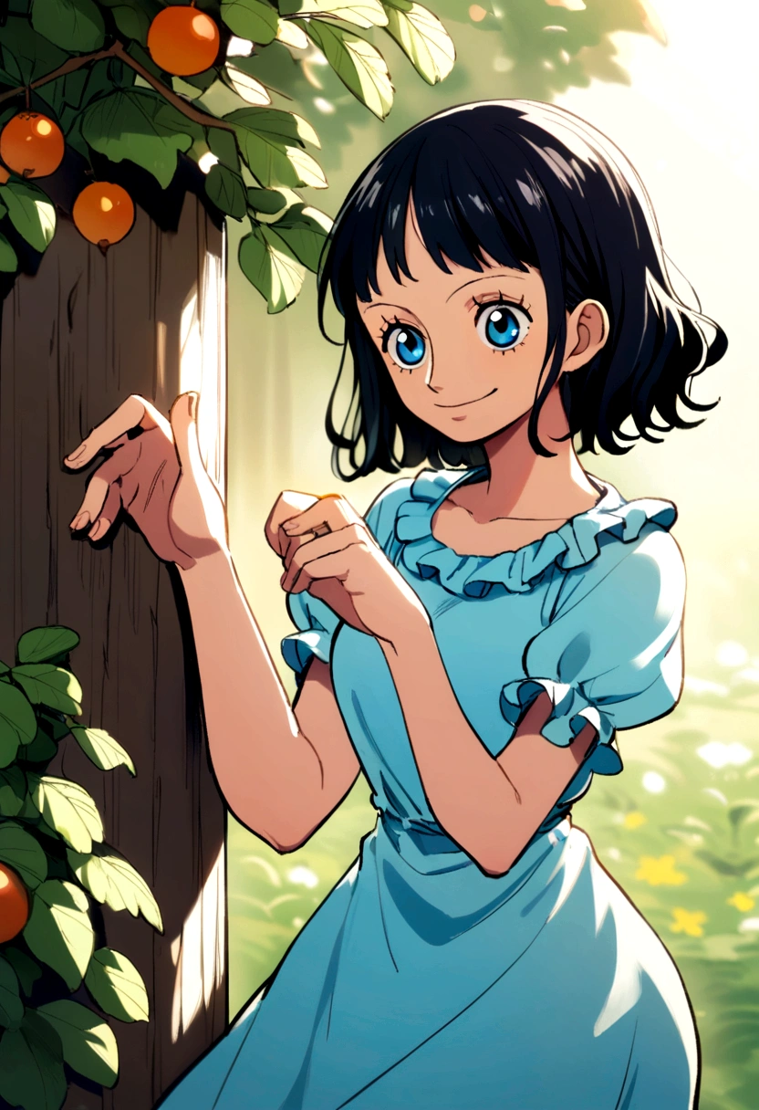 Robin, one piece character, blue eyes,with light blue dress,short sleeves, long black hair, smiling
